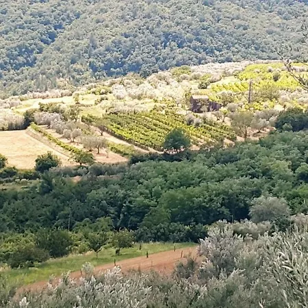 Istrian View