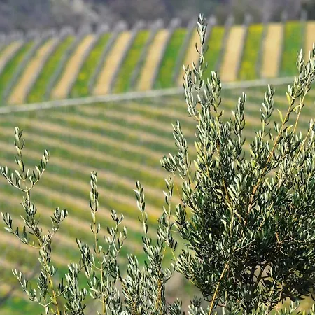 Apartment Istrian View