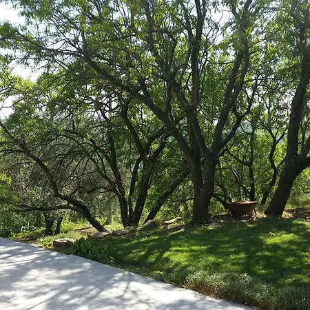 Istrian View Apartment *