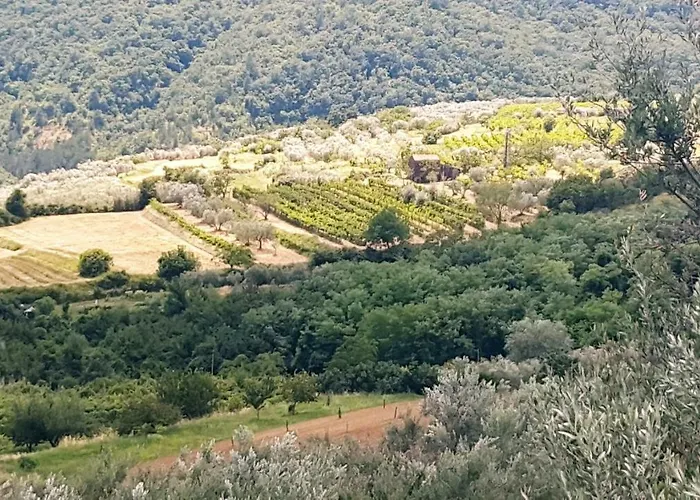 Istrian View