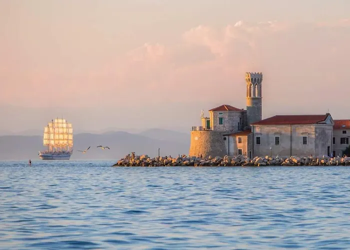 Apartment Istrian View