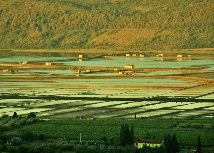 Istrian View Apartment Smarje (Koper)